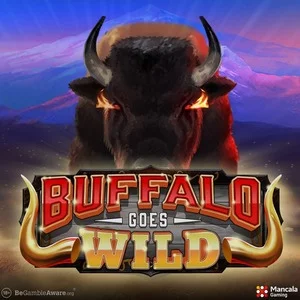 Buffalo Goes Wild